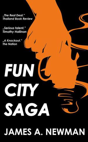 Book cover of Fun City Saga