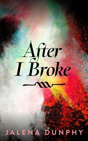 bigCover of the book After I Broke by 