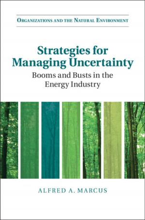 Cover of the book Strategies for Managing Uncertainty by Nicola Acocella, Giovanni Di Bartolomeo, Andrew Hughes Hallett
