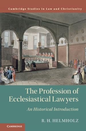 Cover of the book The Profession of Ecclesiastical Lawyers by Vedi R. Hadiz