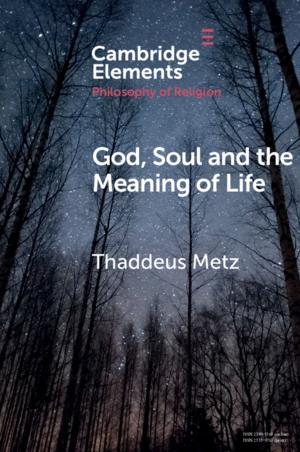Cover of the book God, Soul and the Meaning of Life by Michael J. Perry