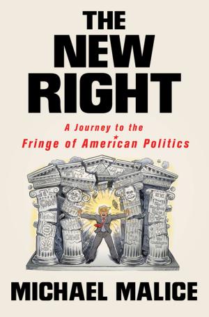 Cover of the book The New Right by Barbara Fister