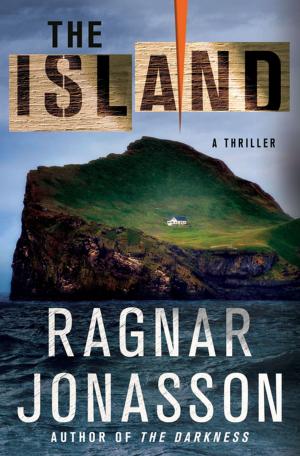 Cover of the book The Island by B. A. Paris
