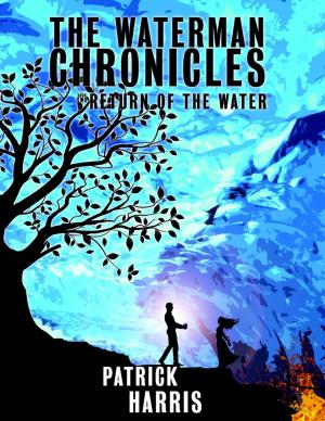 Book cover of The Waterman Chronicles 2: Return of the Water