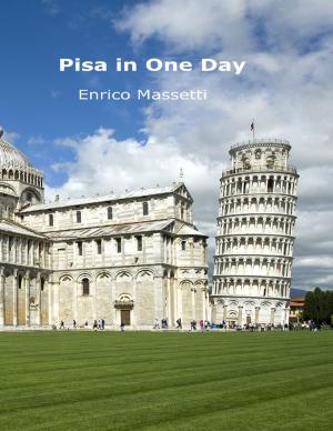 Cover of the book Pisa in One Day by Thomas Meisinger