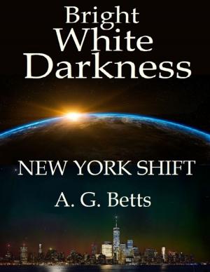 Book cover of Bright White Darkness, New York Shift