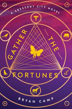 Cover of the book Gather the Fortunes by Houghton Mifflin Harcourt
