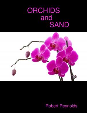 Cover of the book Orchids and Sand by Johnny Delca