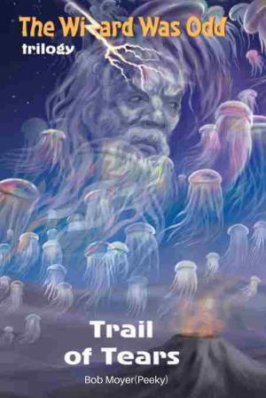 Cover of the book Trail of Tears: The Wizard Was Odd Trilogy by Rahima Warren