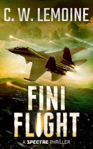 Cover of the book Fini Flight by Larry Bond, Patrick Larkin