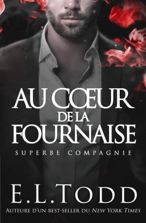 Book cover of Au Cœur de la Fournaise