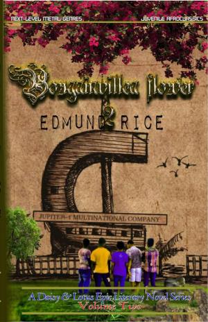 Cover of the book A Bougainvillea Flower 2 by Wesbrook Bay Books