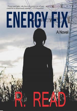 Cover of Energy Fix