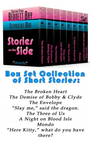 bigCover of the book Stories on the Side: Collection One by 