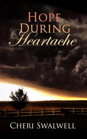 Book cover of Hope During Heartache: True Stories of Emotional Healing from Infertility, Miscarriage, Stillbirth, or Death of a Child