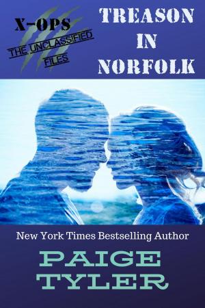 Cover of the book Treason in Norfolk by Shirl Anders