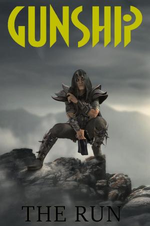 Cover of the book Gunship: The Run by D. Michael Martindale