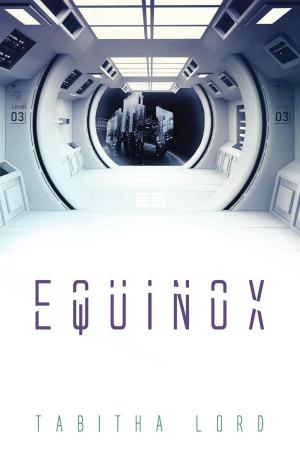 Cover of the book Equinox by Natalia Terfa