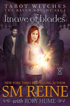 Cover of the book Knave of Blades by Anthony B. Hall