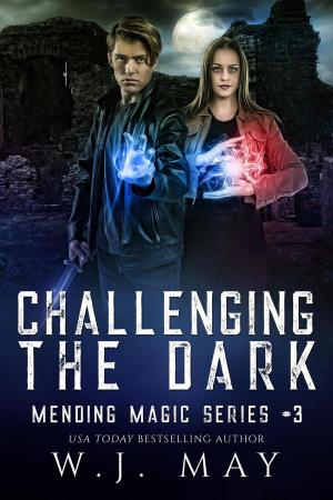 Cover of the book Challenging the Dark by Michelle Sullivan
