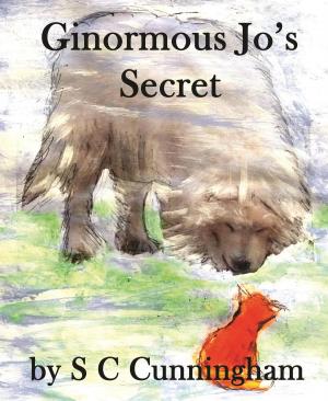 Book cover of Ginormous Jo's Secret