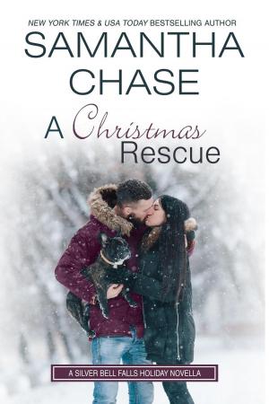 Book cover of A Christmas Rescue