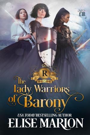 Cover of the book The Lady Warriors of Barony by Benjamin Jacobson