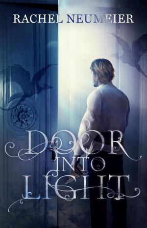 Cover of the book Door Into Light by JD Byrne