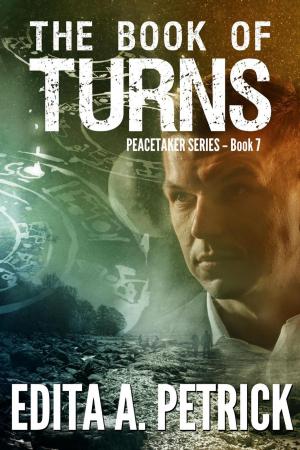 Cover of the book The Book of Turns by Dawn Pitts
