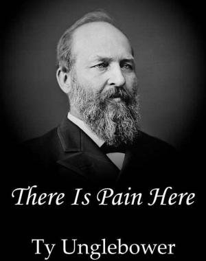 Cover of There Is Pain Here