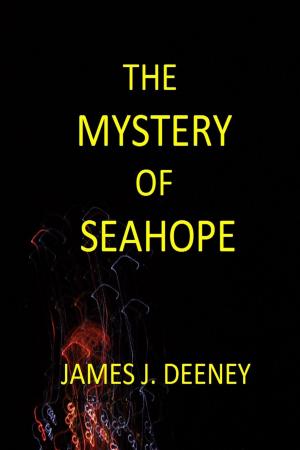 Cover of the book The Mystery of Seahope by Daniel Kennedy