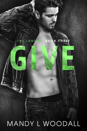 Cover of the book Give by Stephan Morse