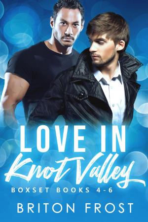bigCover of the book Love in Knot Valley: 4-6 by 