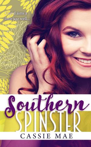 Cover of the book Southern Spinster by L.M. Mountford