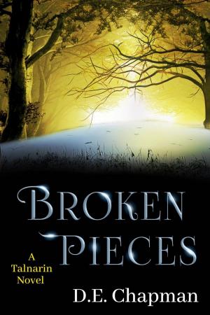 Cover of the book Broken Pieces by Raven Oak