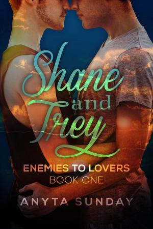 Cover of the book Shane and Trey by Ella Jade