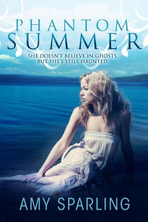 Book cover of Phantom Summer