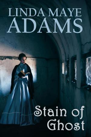 Cover of the book Stain of Ghost by Linda Maye Adams
