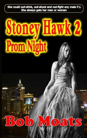 Book cover of Stoney Hawk 2 - Prom Night