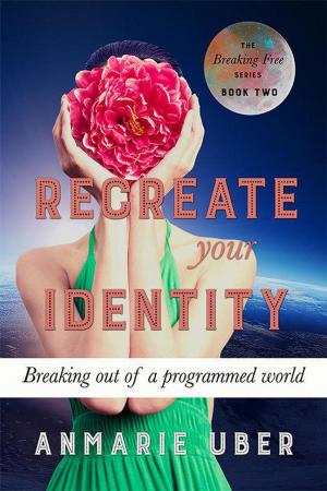 Book cover of Recreate Your Identity