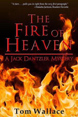 Cover of the book The Fire of Heaven by Alexander Galant