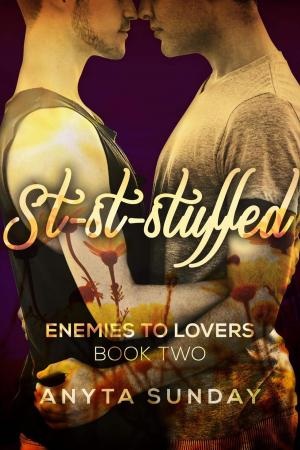 Cover of the book St-st-stuffed by Julie Anne Peters