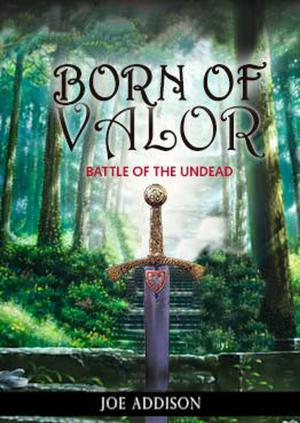 Cover of the book Born of Valor by Ben Rovik