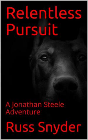 Cover of the book Relentless Pursuit by DF Doran
