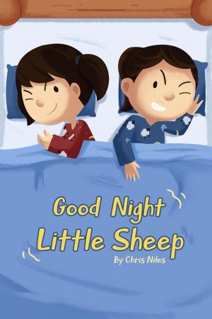 Book cover of Good Night Little Sheep
