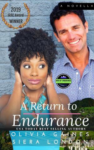 Cover of the book A Return to Endurance by Amit Tiwari