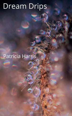 Book cover of Dream Drips