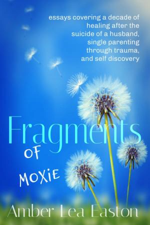 bigCover of the book Fragments of Moxie by 