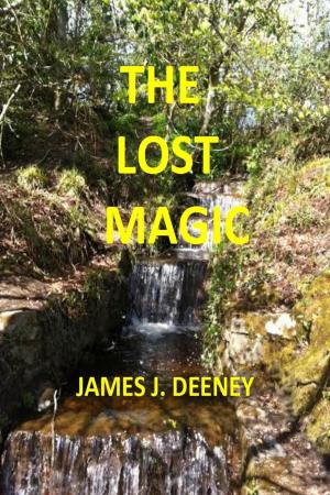 bigCover of the book The Lost Magic by 