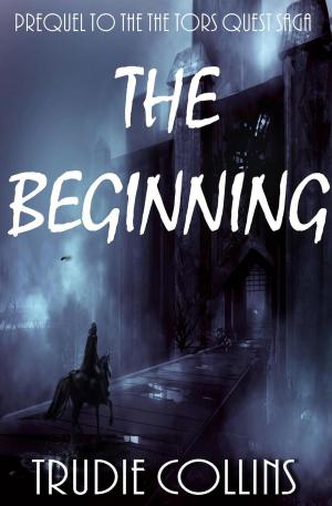 Cover of the book The Beginning by Yury Nikitin